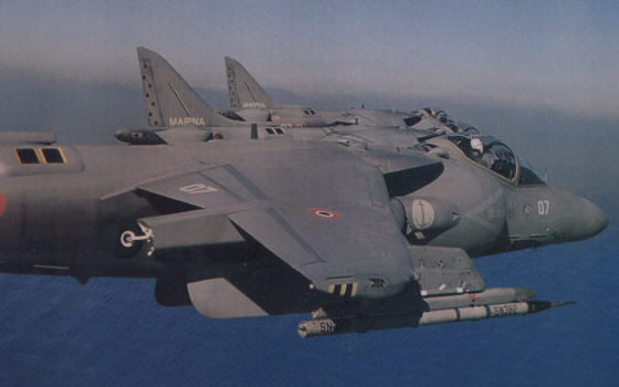 Harrier in formazione